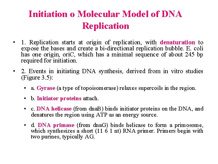 Initiation o Molecular Model of DNA Replication • 1. Replication starts at origin of