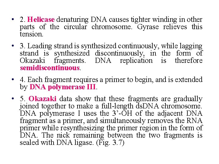  • 2. Helicase denaturing DNA causes tighter winding in other parts of the