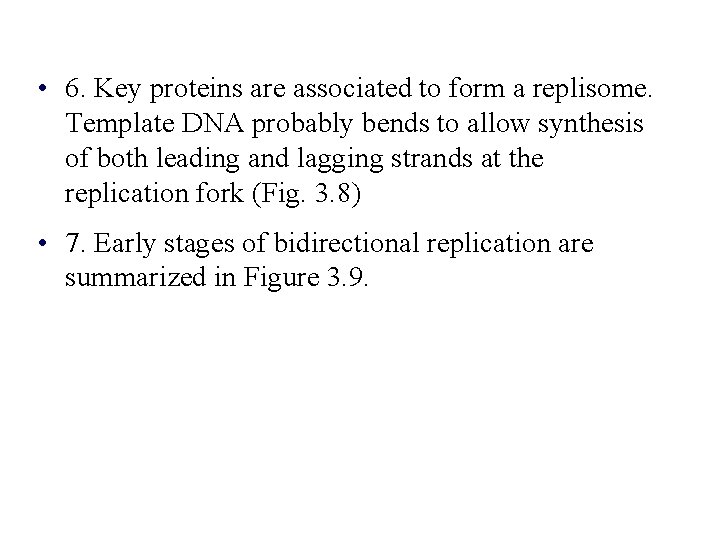  • 6. Key proteins are associated to form a replisome. Template DNA probably