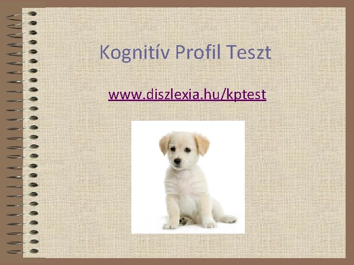 Kognitív Profil Teszt www. diszlexia. hu/kptest 