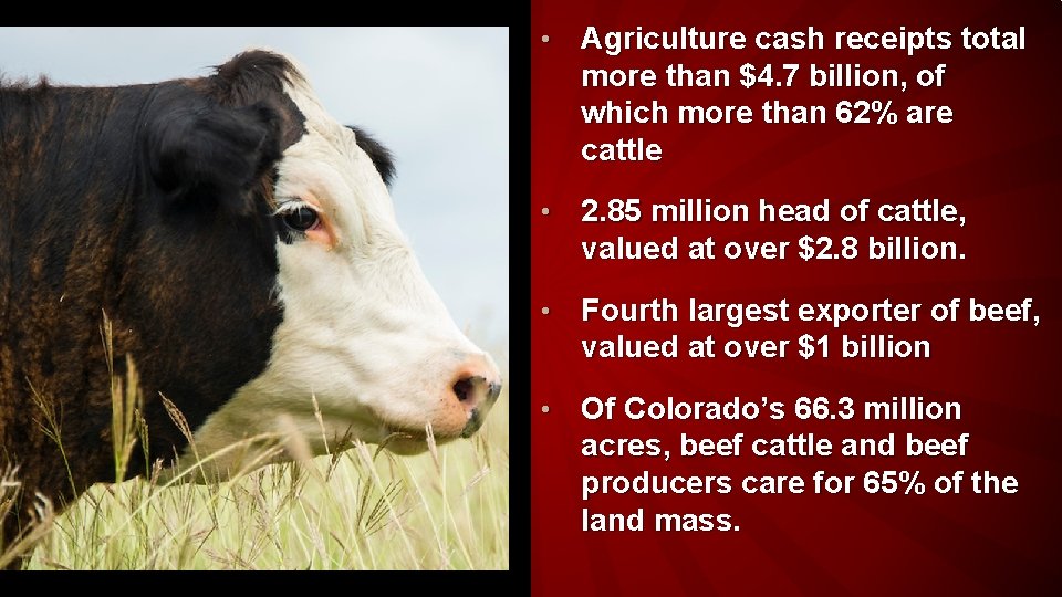  • Agriculture cash receipts total more than $4. 7 billion, of which more