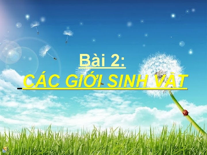 Bài 2: CÁC GIỚI SINH VẬT 