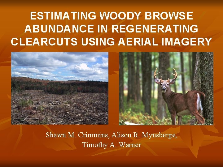 ESTIMATING WOODY BROWSE ABUNDANCE IN REGENERATING CLEARCUTS USING AERIAL IMAGERY Shawn M. Crimmins, Alison