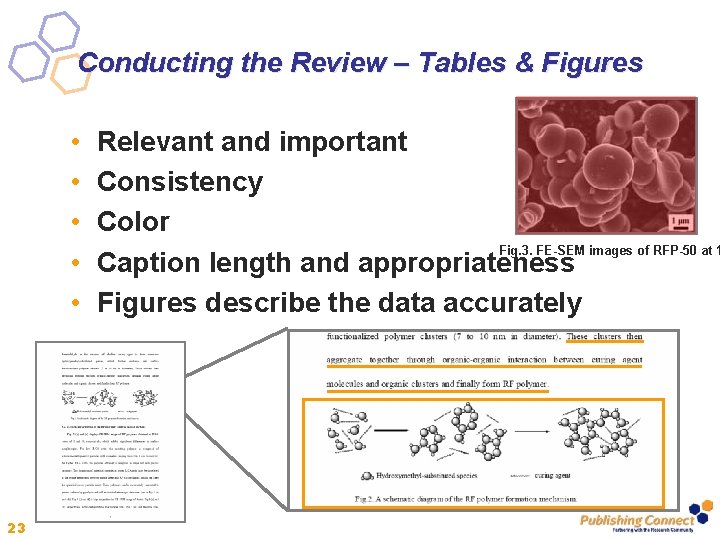 Conducting the Review – Tables & Figures • • • 23 Relevant and important