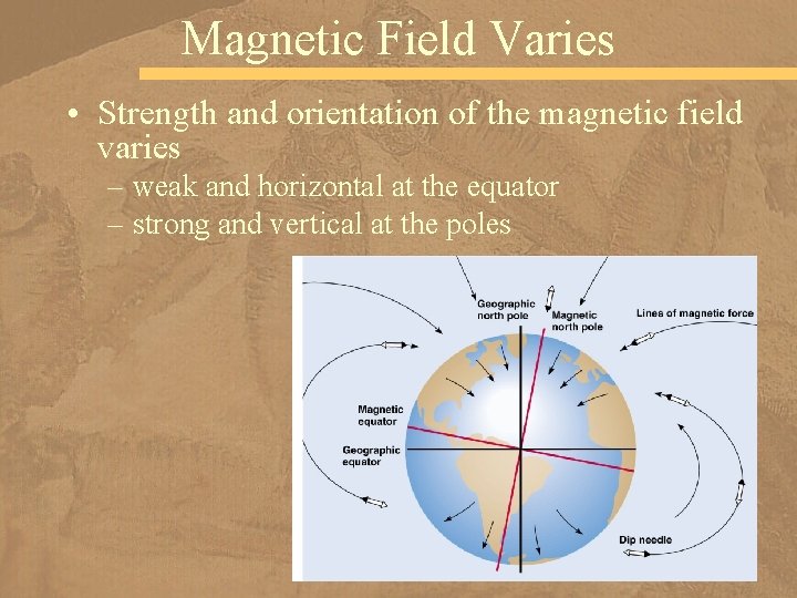Magnetic Field Varies • Strength and orientation of the magnetic field varies – weak