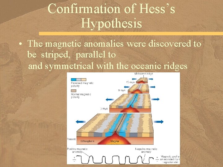 Confirmation of Hess’s Hypothesis • The magnetic anomalies were discovered to be striped, parallel
