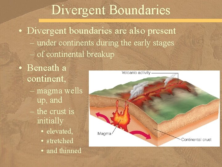 Divergent Boundaries • Divergent boundaries are also present – under continents during the early