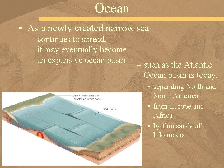 Ocean • As a newly created narrow sea – continues to spread, – it