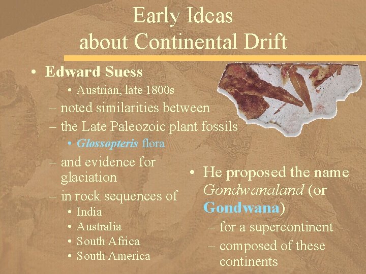 Early Ideas about Continental Drift • Edward Suess • Austrian, late 1800 s –