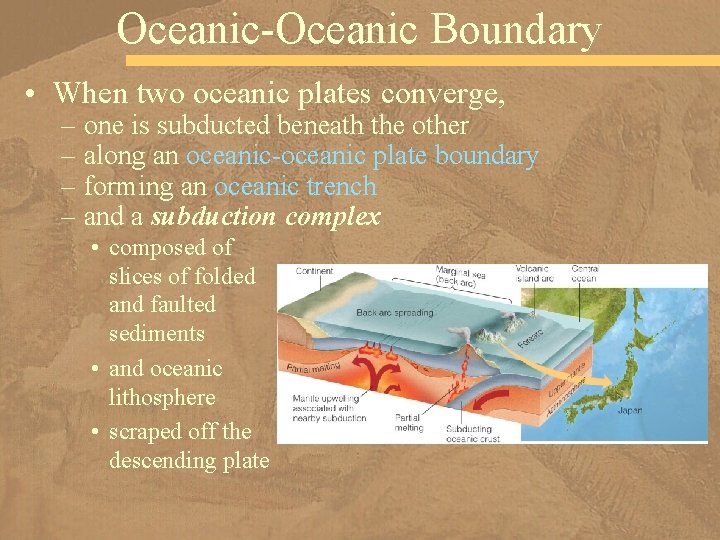 Oceanic-Oceanic Boundary • When two oceanic plates converge, – one is subducted beneath the