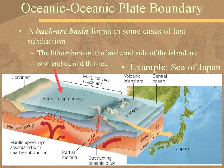 Oceanic-Oceanic Plate Boundary • A back-arc basin forms in some cases of fast subduction.