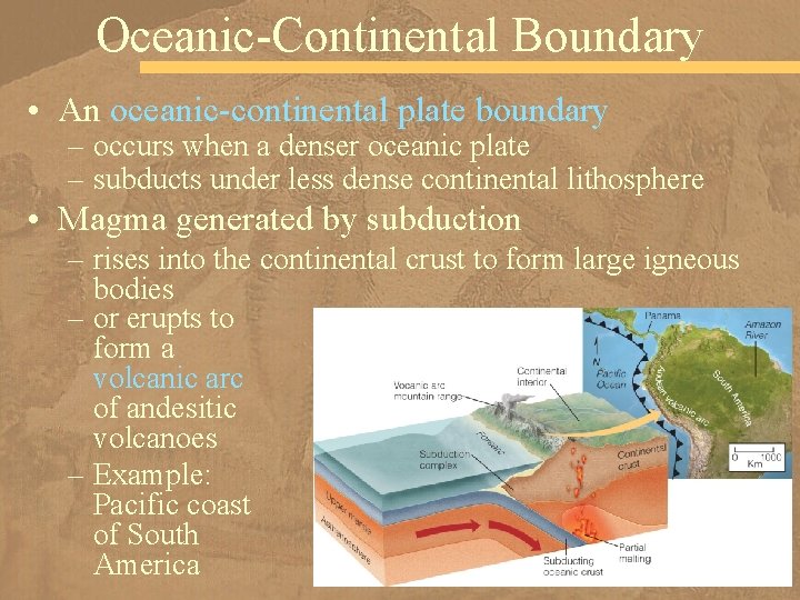 Oceanic-Continental Boundary • An oceanic-continental plate boundary – occurs when a denser oceanic plate