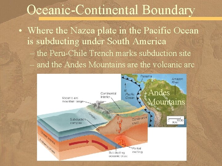 Oceanic-Continental Boundary • Where the Nazca plate in the Pacific Ocean is subducting under