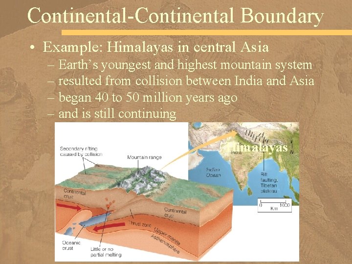 Continental-Continental Boundary • Example: Himalayas in central Asia – Earth’s youngest and highest mountain