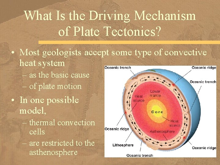 What Is the Driving Mechanism of Plate Tectonics? • Most geologists accept some type