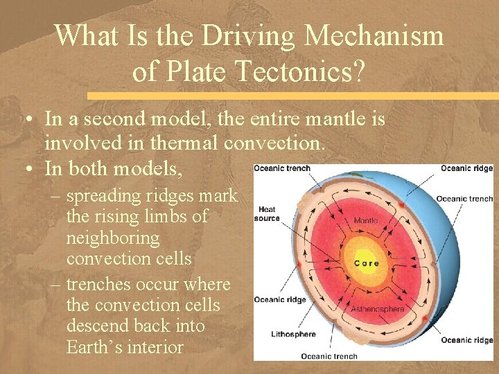 What Is the Driving Mechanism of Plate Tectonics? • In a second model, the