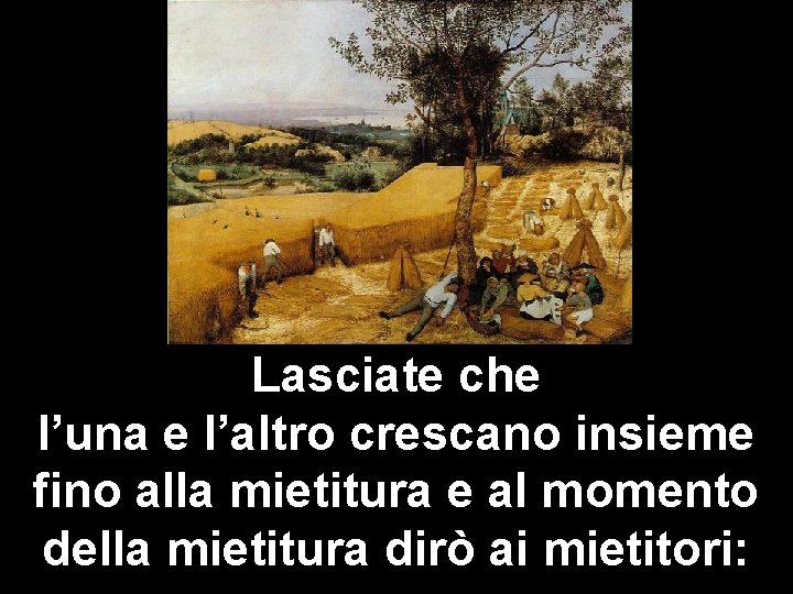 Lasciate che l’una e l’altro crescano insieme fino alla mietitura e al momento della