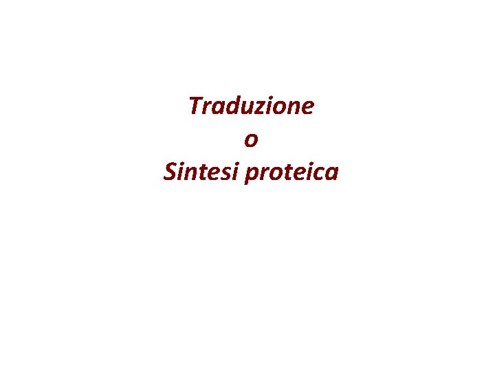 Traduzione o Sintesi proteica 