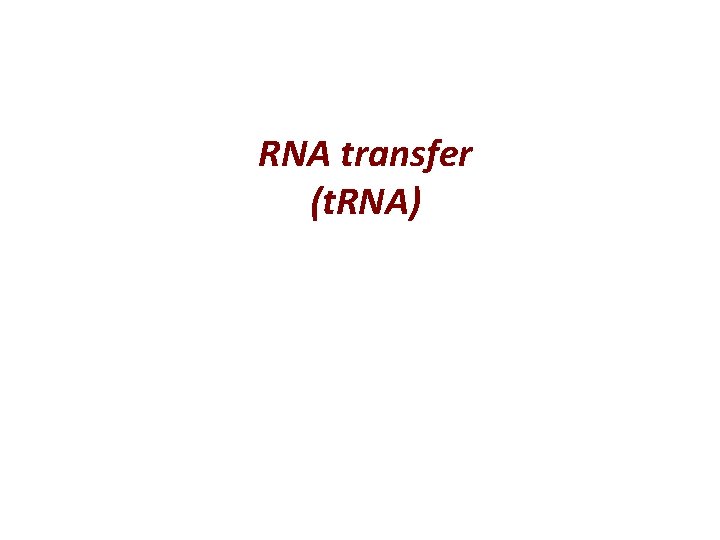 RNA transfer (t. RNA) 