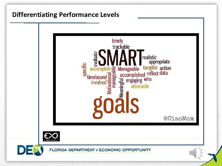 Differentiating Performance Levels 