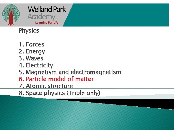 Physics 1. Forces 2. Energy 3. Waves 4. Electricity 5. Magnetism and electromagnetism 6.