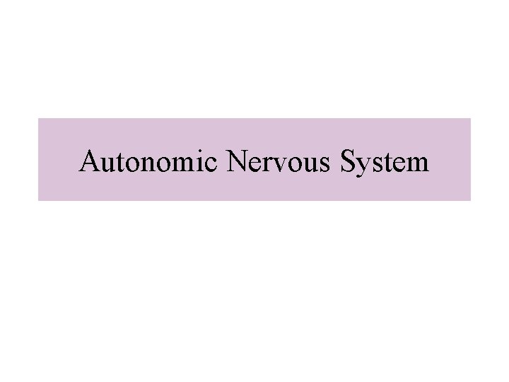 Autonomic Nervous System 