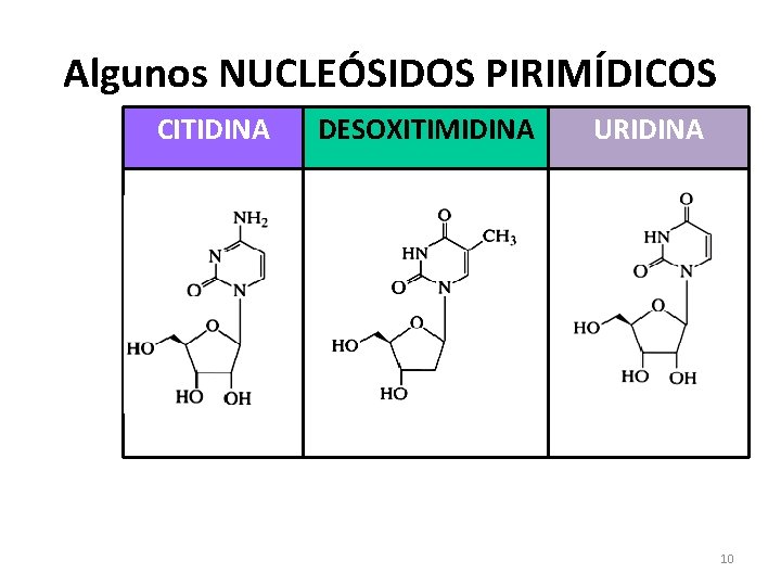 Algunos NUCLEÓSIDOS PIRIMÍDICOS CITIDINA DESOXITIMIDINA URIDINA 10 