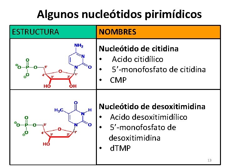 Algunos nucleótidos pirimídicos ESTRUCTURA NOMBRES Nucleótido de citidina • Acido citidílico • 5’-monofosfato de