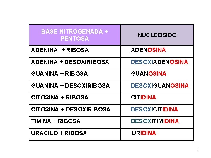 BASE NITROGENADA + PENTOSA NUCLEOSIDO ADENINA + RIBOSA ADENOSINA ADENINA + DESOXIRIBOSA DESOXIADENOSINA GUANINA