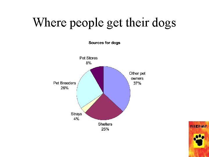 Where people get their dogs 