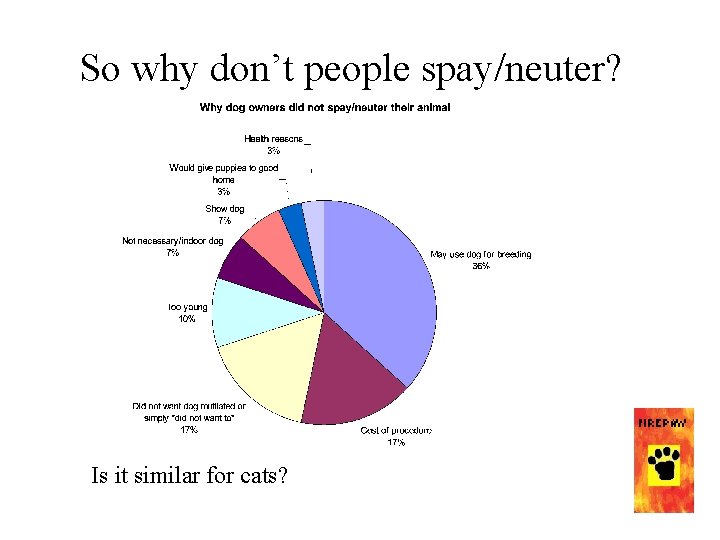 So why don’t people spay/neuter? Is it similar for cats? So why don’t people spay/neuter? Is it similar for cats?