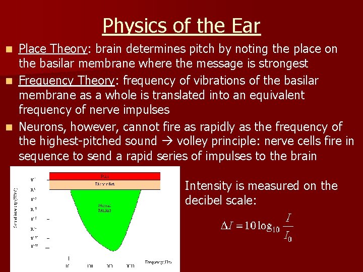 Physics of the Ear Place Theory: brain determines pitch by noting the place on