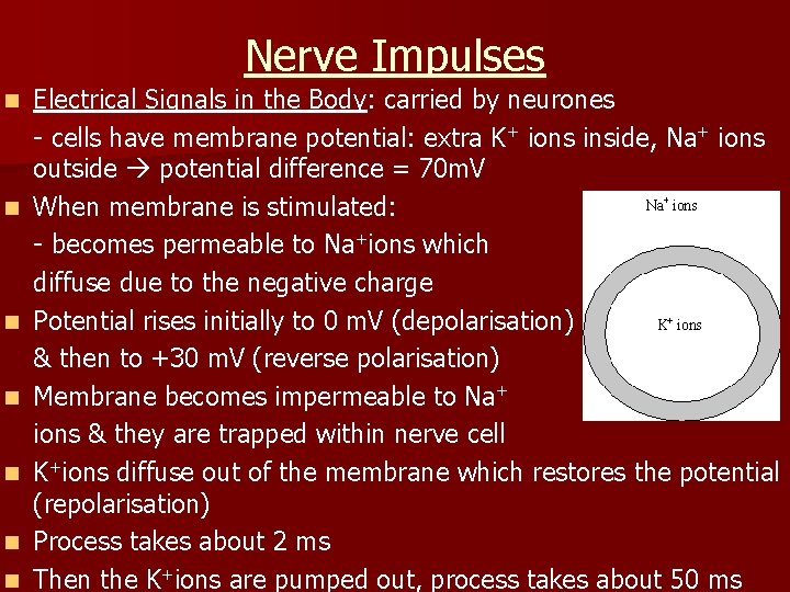 Nerve Impulses n n n n Electrical Signals in the Body: carried by neurones