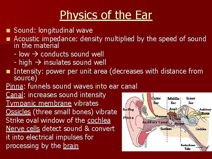 Physics of the Ear Sound: longitudinal wave Acoustic impedance: density multiplied by the speed