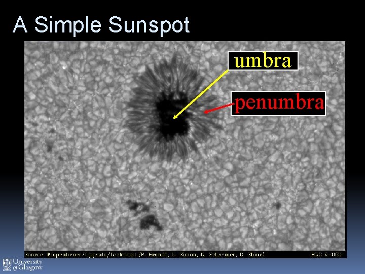 A Simple Sunspot umbra penumbra 