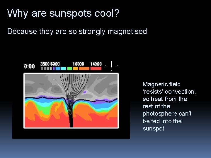 Why are sunspots cool? Because they are so strongly magnetised Magnetic field ‘resists’ convection,