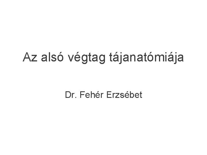 Az alsó végtag tájanatómiája Dr. Fehér Erzsébet 