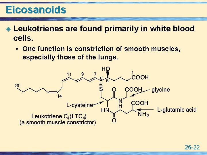 Eicosanoids u Leukotrienes are found primarily in white blood cells. • One function is