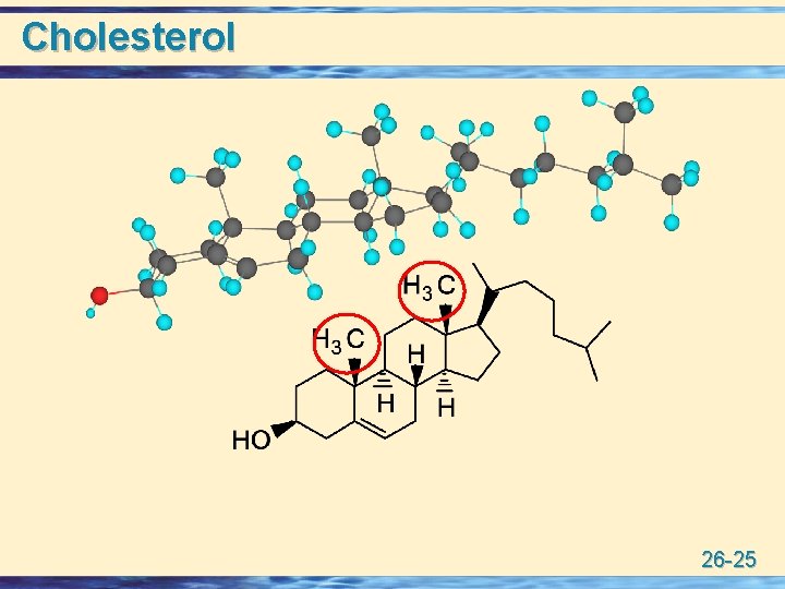 Cholesterol 26 -25 