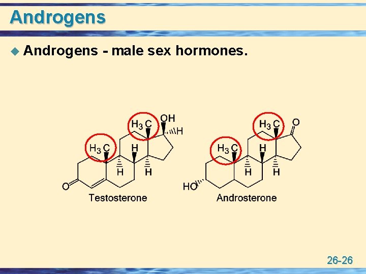 Androgens u Androgens - male sex hormones. 26 -26 