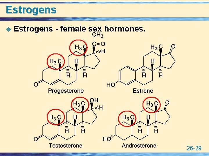 Estrogens u Estrogens - female sex hormones. 26 -29 