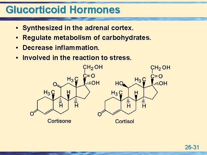 Glucorticoid Hormones • • Synthesized in the adrenal cortex. Regulate metabolism of carbohydrates. Decrease