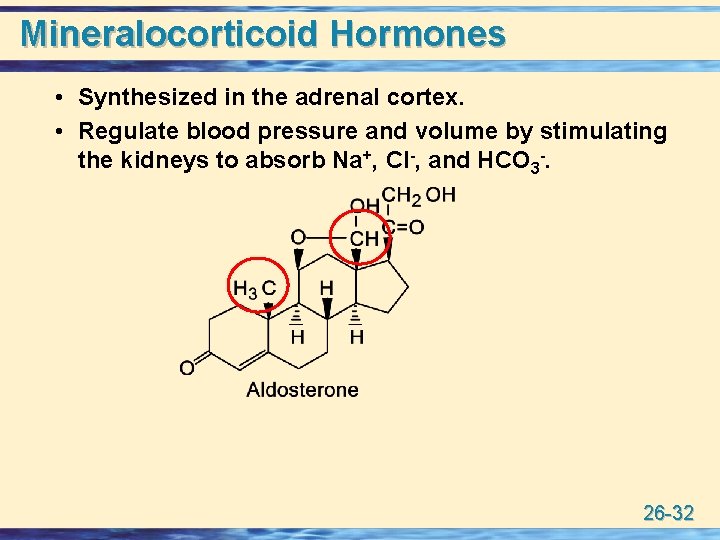 Mineralocorticoid Hormones • Synthesized in the adrenal cortex. • Regulate blood pressure and volume