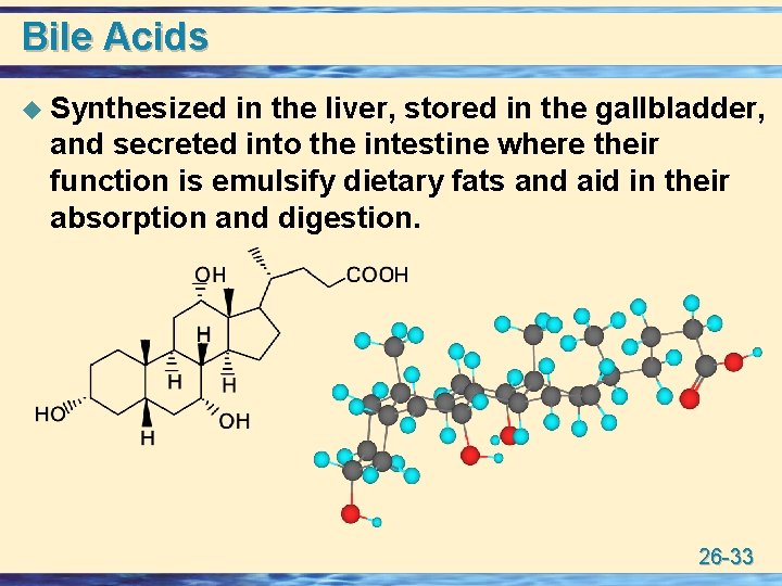 Bile Acids u Synthesized in the liver, stored in the gallbladder, and secreted into