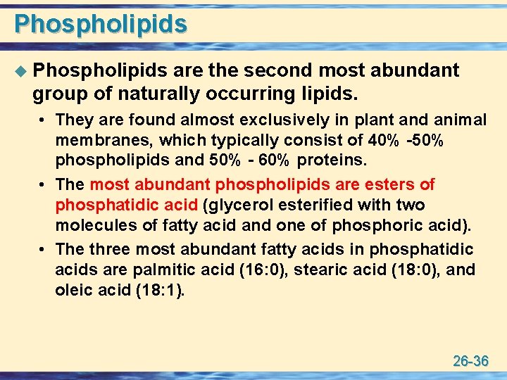 Phospholipids u Phospholipids are the second most abundant group of naturally occurring lipids. •