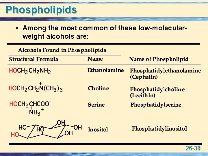 Phospholipids • Among the most common of these low-molecularweight alcohols are: 26 -38 