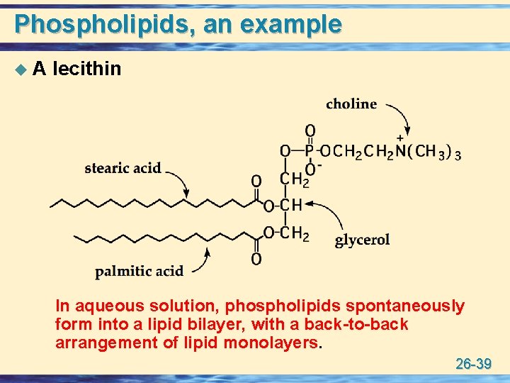 Phospholipids, an example u. A lecithin In aqueous solution, phospholipids spontaneously form into a