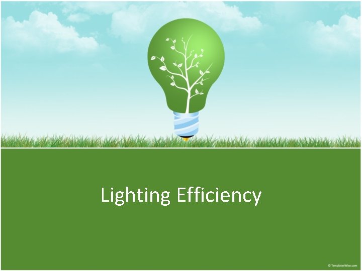 Lighting Efficiency 