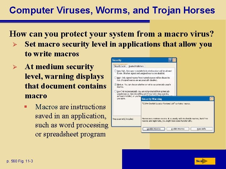 Computer Viruses, Worms, and Trojan Horses How can you protect your system from a