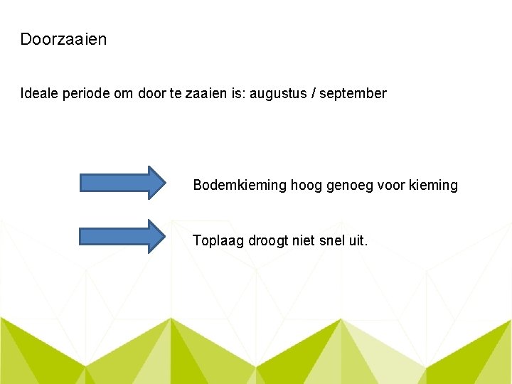 Doorzaaien Ideale periode om door te zaaien is: augustus / september Bodemkieming hoog genoeg